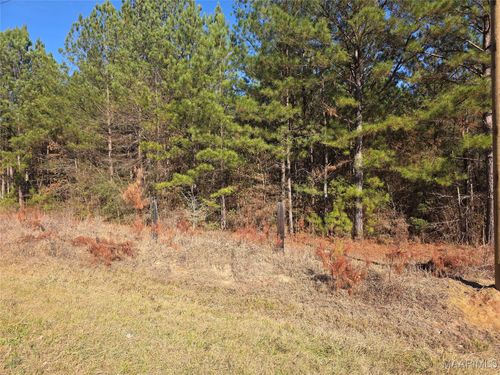 0 Amber Rd, Shorter, AL, 36075 | Card Image