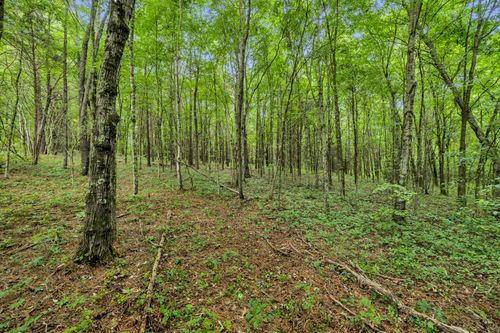 0 Eli Rd, Bon Aqua, TN, 37025 | Card Image