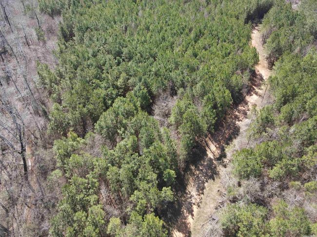 00 Nevada County 175 Road, Home with 0 bedrooms, 0 bathrooms and null parking in Rosston AR | Image 30