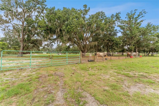 9819 Allen Rd, House other with 3 bedrooms, 2 bathrooms and null parking in Lithia FL | Image 36