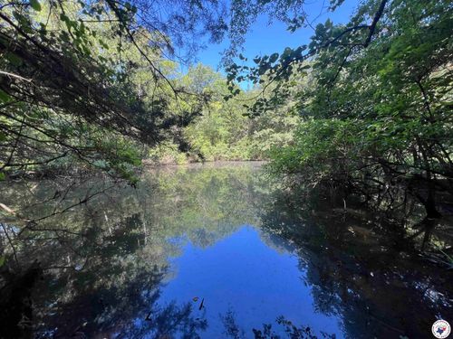 0 County Road 4236, De Kalb, TX, 75559 | Card Image