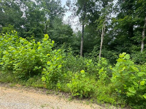 0 Ted Logsdon Rd, Clarkson, KY, 42726 | Card Image