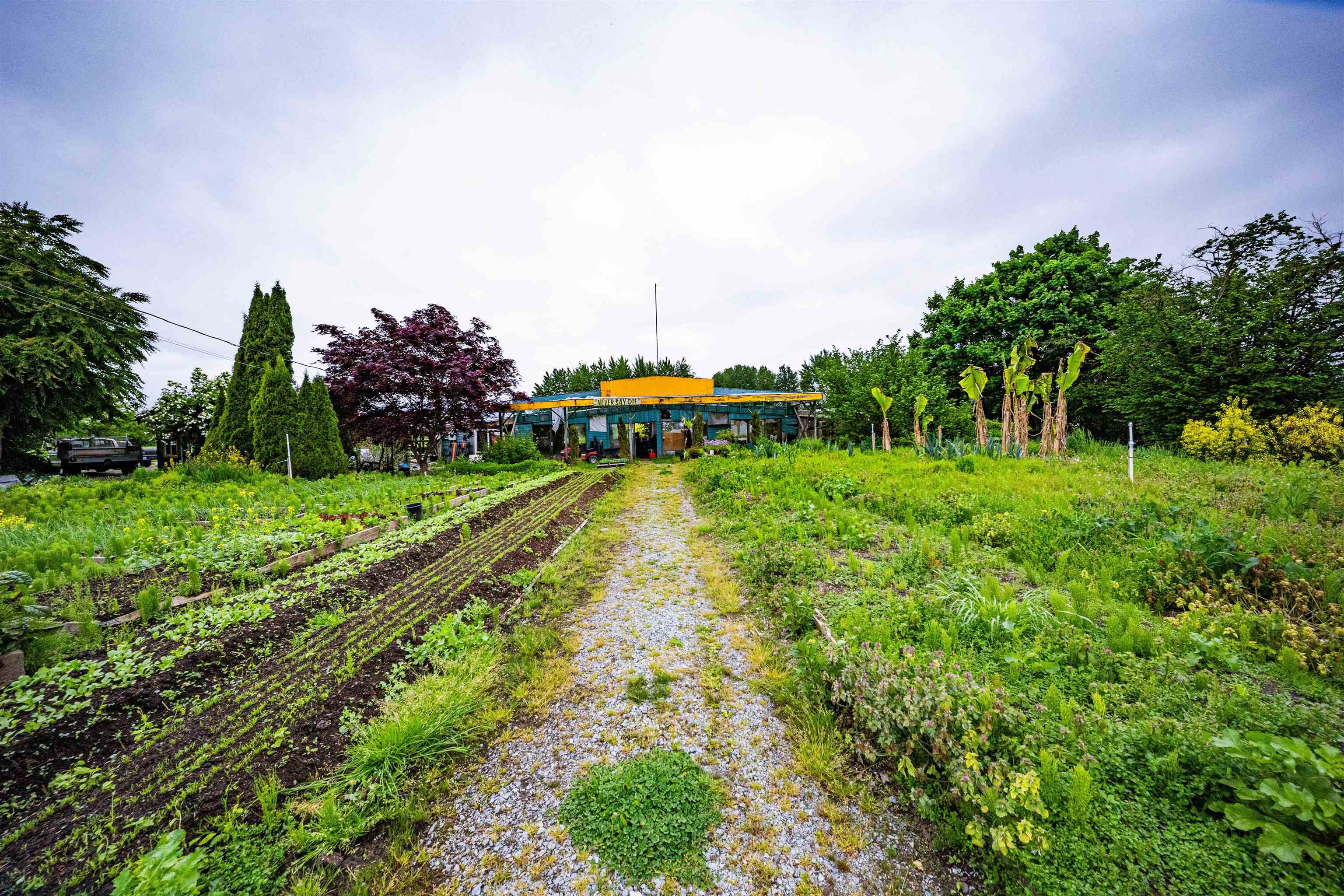 Residential in Pitt Meadows 2