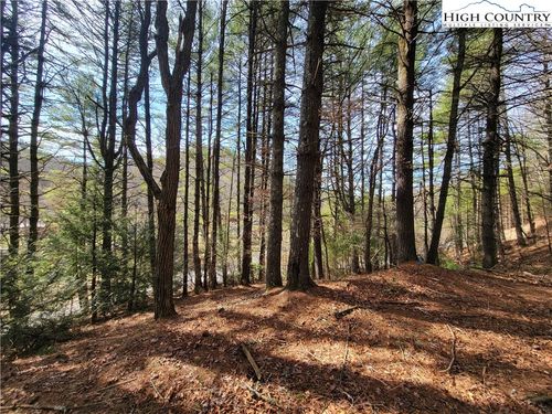 TBD (Lot 73) Creekside Meadows Dr, Fleetwood, NC, 28626 | Card Image
