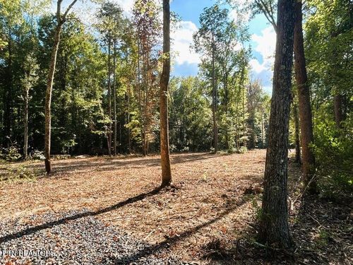 Tract 3 Pleasant Hill, Ten Mile, TN, 37880 | Card Image