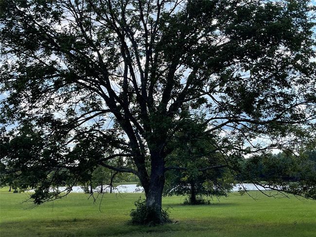 15357 Forest Grove Dr, Home with 0 bedrooms, 0 bathrooms and null parking in Willis TX | Image 8