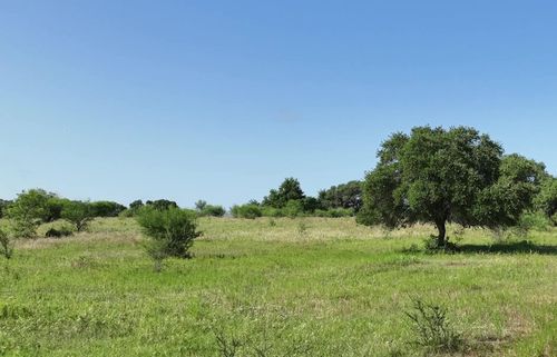 TBA Cr 209, Weimar, TX, 78962 | Card Image