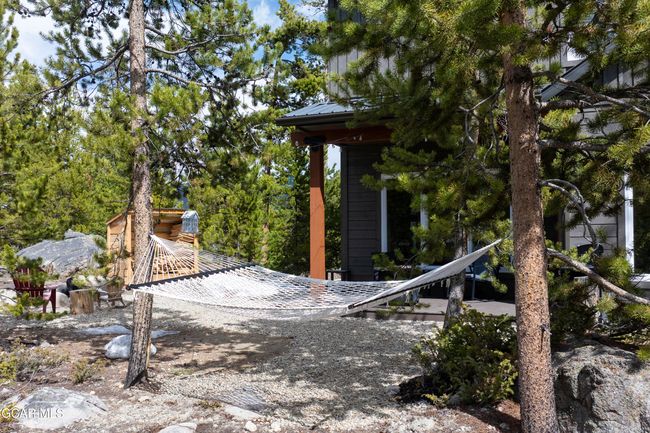 Back Yard. | Image 52