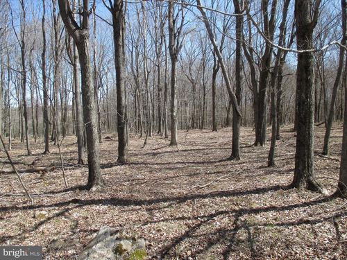 90 Off Rte, MOUNT STORM, WV, 26739 | Card Image