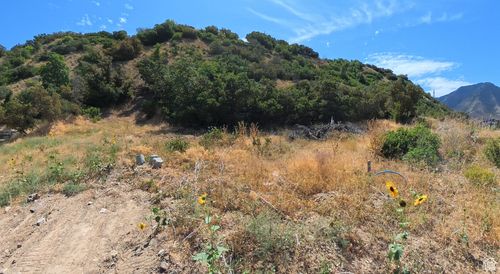 80-3647 S Riverstone Rd E, Mapleton, UT, 84664 | Card Image