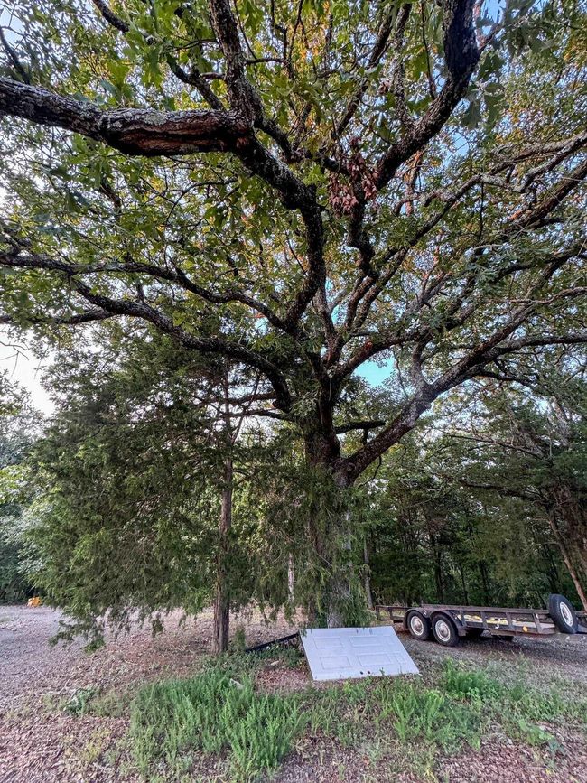 192 Sweet Gum Holw, Home with 0 bedrooms, 0 bathrooms and null parking in Rose Bud AR | Image 30