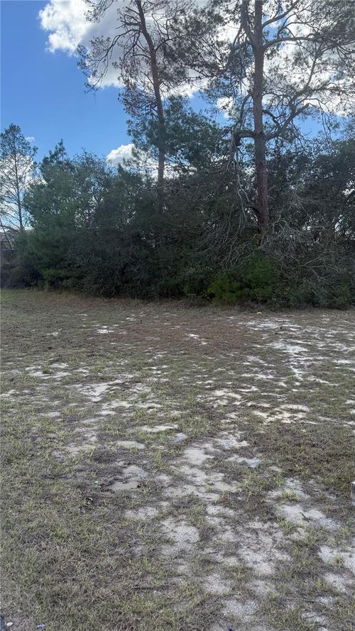 TBD Ne 40th Cir, Ocala, FL, 34470 | Card Image