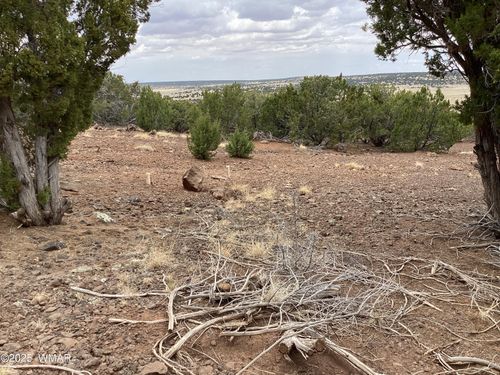 TBD Standford, Concho, AZ, 85924 | Card Image