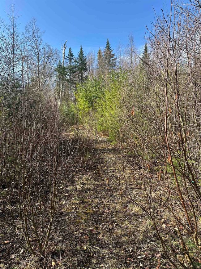 0 Agassiz St, Home with 0 bedrooms, 0 bathrooms and null parking in Bethlehem NH | Image 10