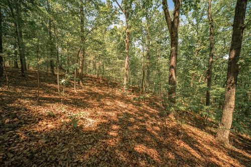 00 Hancock Mountain Trail, Waleska, GA, 30183 | Card Image