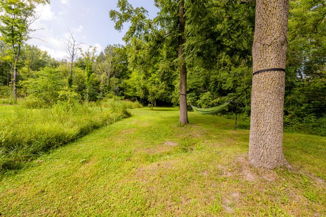 Paw Paw Lk-125 | Image 26