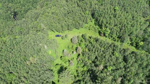 80 Acres Off M69 Road, Crystal Falls, MI, 49920 | Card Image