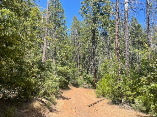 10 Wildrose Ln, Coulterville, CA, 95311 | Card Image