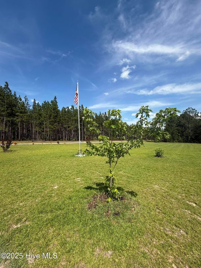742 Ghio Rd, House other with 3 bedrooms, 2 bathrooms and null parking in Hamlet NC | Image 4