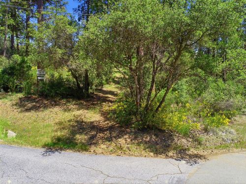 14041 Lois Ln, Nevada City, CA, 95959-9771 | Card Image