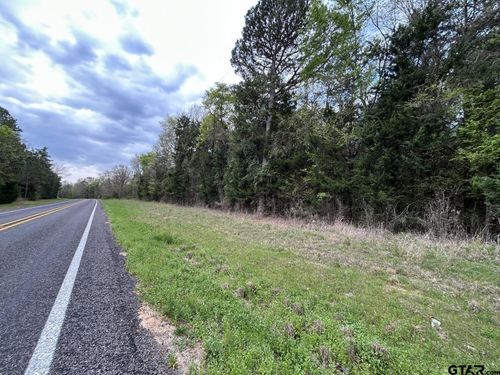 TBD Lot 3 Fm 1519, Leesburg, TX, 75451 | Card Image