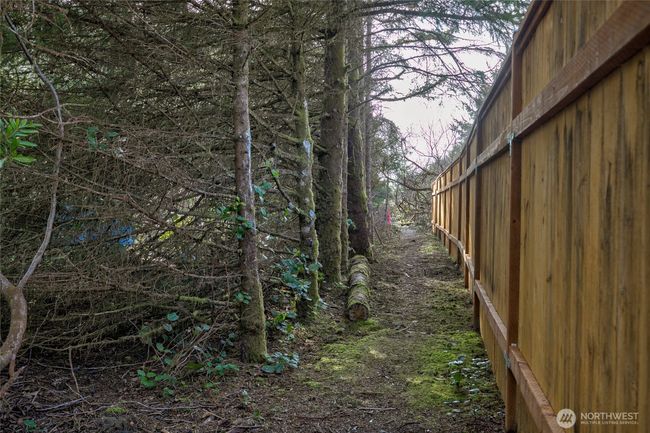 Beach access trail | Image 37