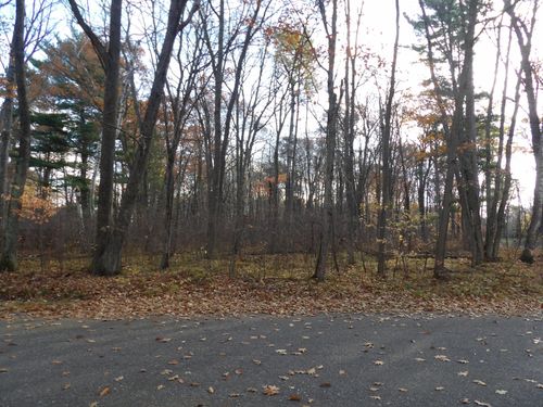 Lot 24 Marie Ln, Minocqua, WI, 54548 | Card Image