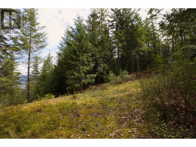434 Lexington Ave, Home with 0 bedrooms, 0 bathrooms and null parking in Procter BC | Image 16