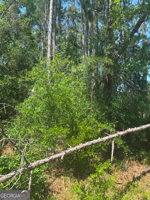 0 Stoney Brook Way, Reidsville, GA, 30453 | Card Image