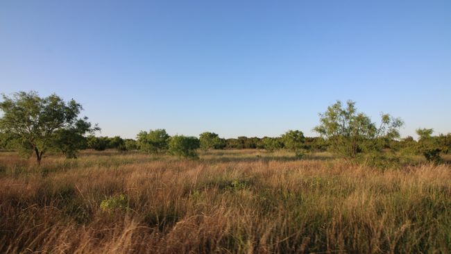 3609 Fm 1086, Home with 0 bedrooms, 0 bathrooms and null parking in Ovalo TX | Image 22