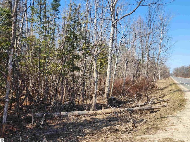 000 Old M 66 Nw, Home with 0 bedrooms, 0 bathrooms and null parking in Kalkaska MI | Image 17