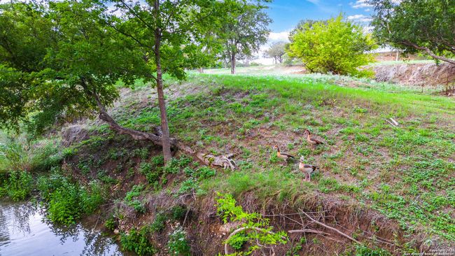 TRACT 5 46 Fm 1621, Home with 0 bedrooms, 0 bathrooms and null parking in Comfort TX | Image 6