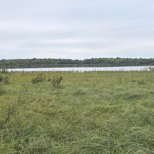 TBD S Gull Lake Rd Ne, Tenstrike, MN, 56683 | Card Image