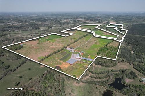 833 N Prather Rd, Michie, TN, 38357-5169 | Card Image