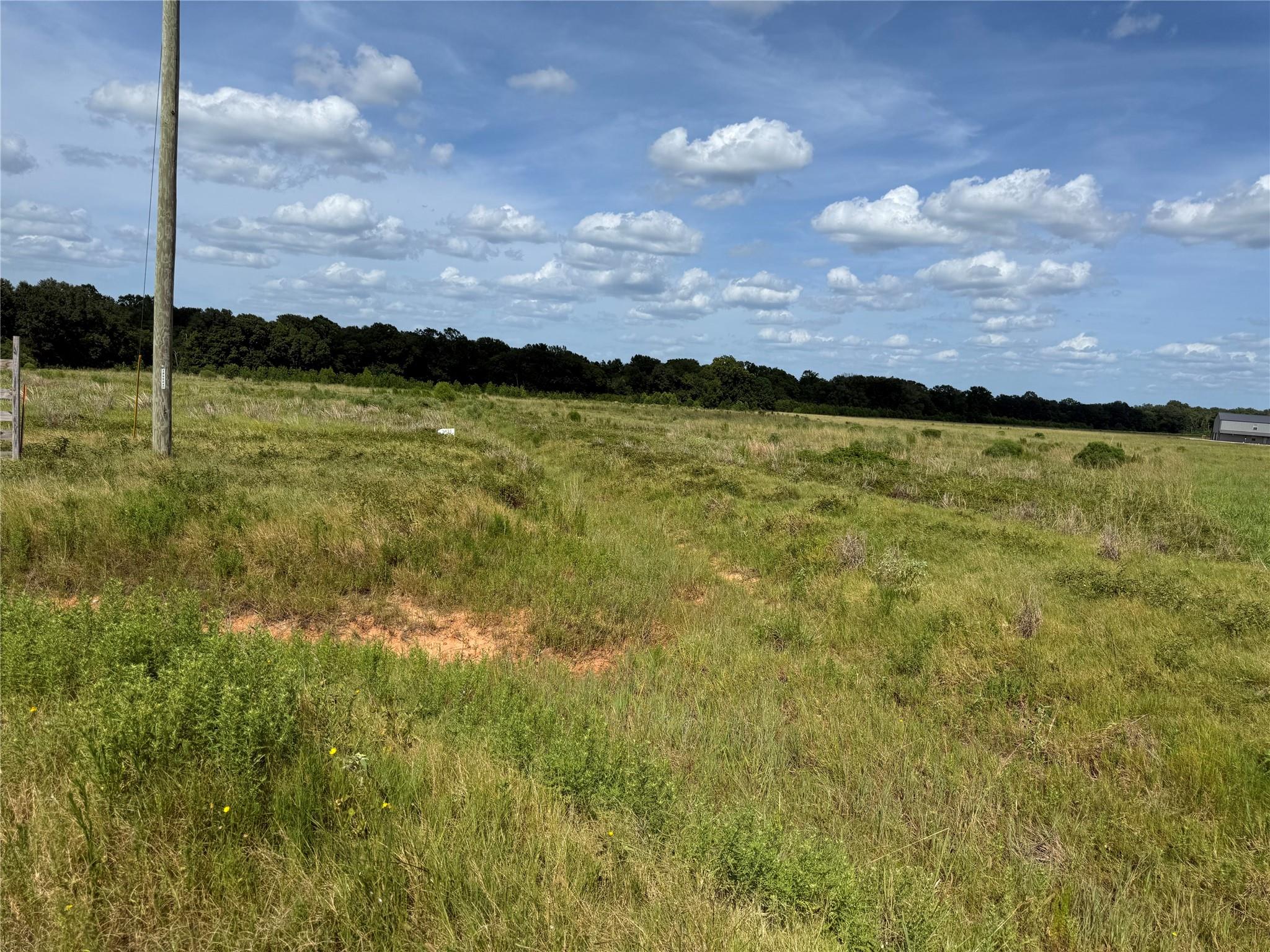 Land in Crockett 4