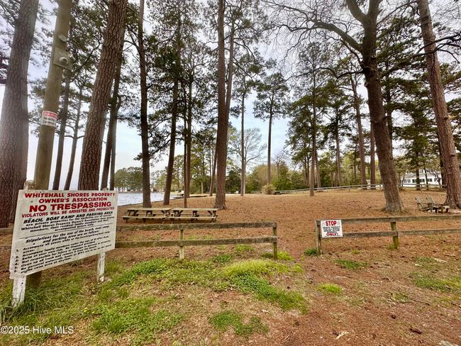 Community Beach | Image 16