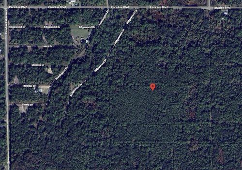 317 Tropical Dr, Georgetown, FL, 32139 | Card Image