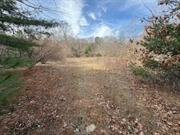 Land in Marlborough
