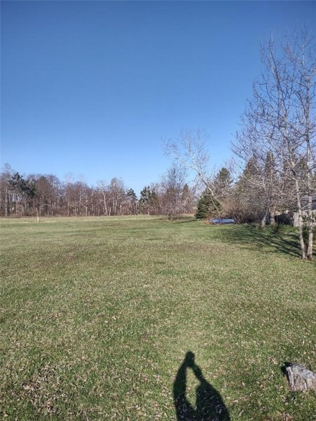 North property line looking west | Image 7