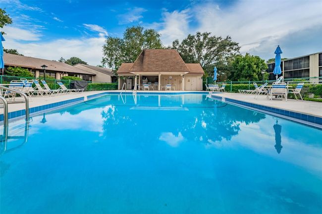APT-107 - 1450 Heather Ridge Blvd, Condo with 2 bedrooms, 1 bathrooms and null parking in DUNEDIN FL | Image 38