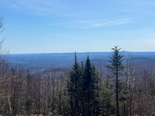 14 Moose Alley Road, Temple, ME, 04984 | Card Image