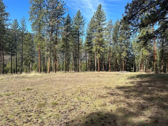 31760 Old Highway 10 W, Home with 0 bedrooms, 0 bathrooms and null parking in Alberton MT | Image 32