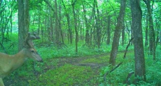 View of landscape | Image 36