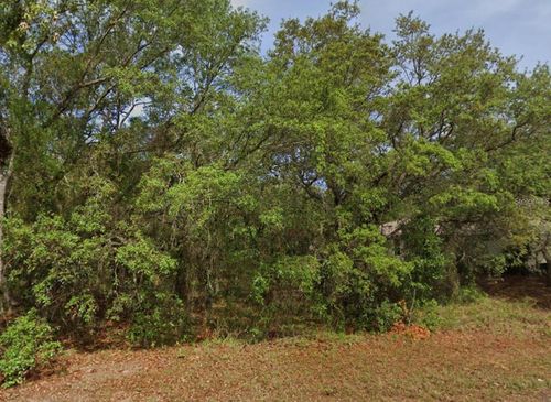 4 Honeysuckle Ct N, HOMOSASSA, FL, 34446-4929 | Card Image