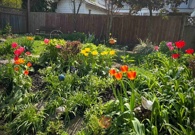 View of yard with fence | Image 34
