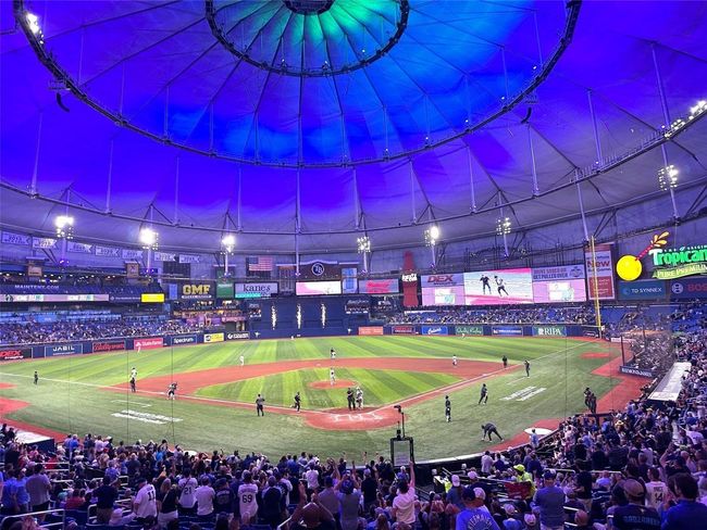 Ray's Tropicana Field | Image 39