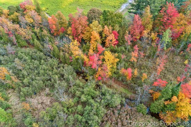 2697 176 Th Ave, House other with 5 bedrooms, 2 bathrooms and null parking in Walkerville MI | Image 19