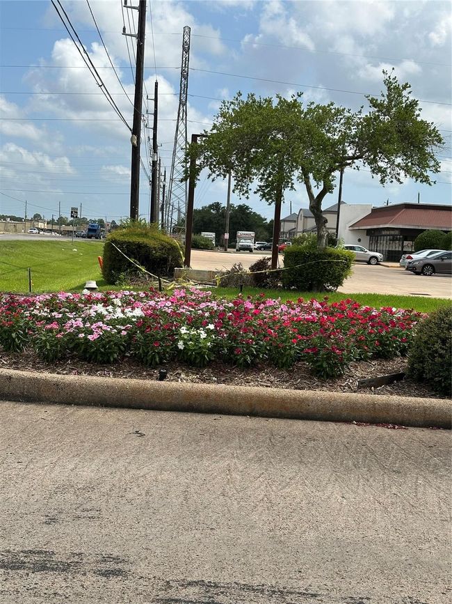 The photo showcases a landscaped area with vibrant flower beds and a tree, located near a commercial building and a road with utility poles. The setting is suburban with nearby parking and a backdrop of clear skies. | Image 14