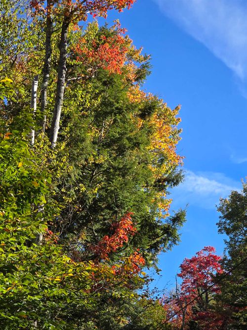 0 Klondike Rd, Stamford, VT, 05352 | Card Image