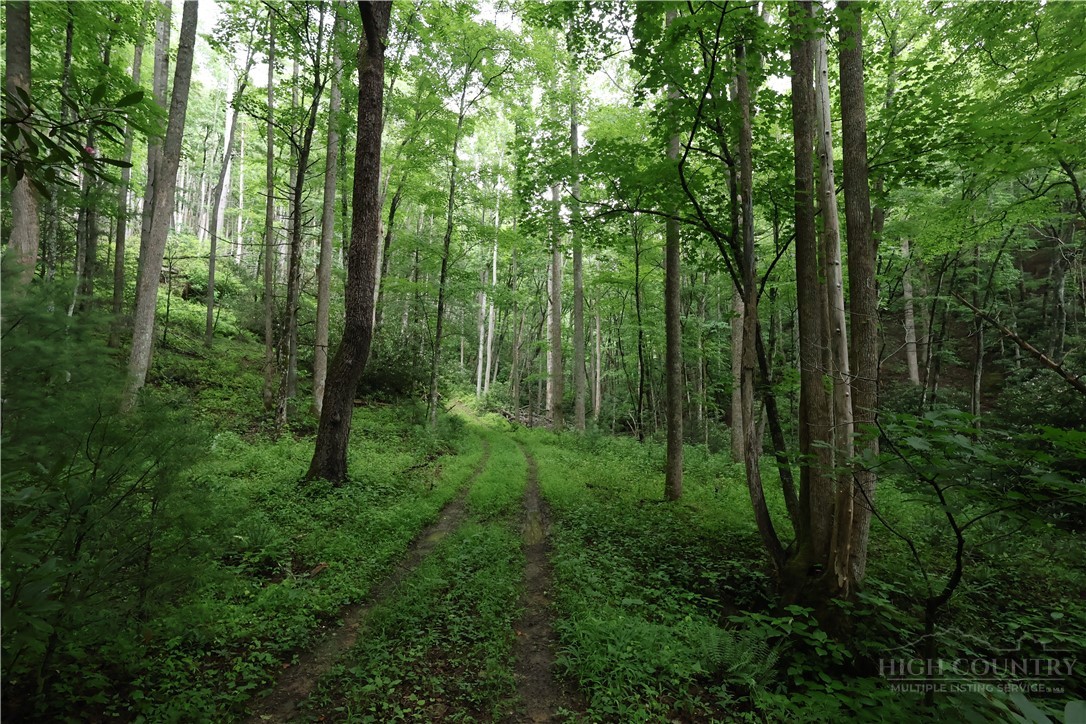 Land in Lenoir